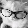 inkysouul