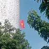trngtrnminh05
