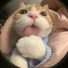 khanhhuyen28_6
