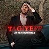 tag1yeff.3