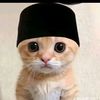 vian.vian47