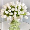 halaelsaady8
