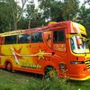 dedimartaputra6