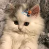 v1viv1viv1