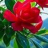 user2313103820522