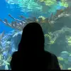 anglytheresia_01