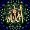 12islamicchannel