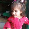 idrees.ahmad89