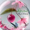 shazzykhan132
