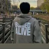 t_ali186