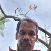 chusak.sreemai
