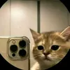 maria.hein7