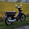 xyyfer06