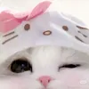 ur.bbi._