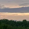 zorolepro5