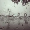 hoanghalinhhh_