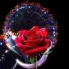 roze_queen8