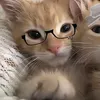 ng đến trước 💤