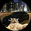 car_edits4056