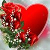angel.noori.126