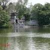 yp594250