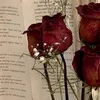 tuesday_n10