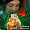 user73812281762114