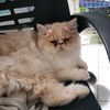 meimei7394