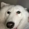 marikmarakesh08