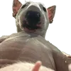 juan_enricko