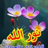 user2987126006705