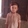 user74269795303184