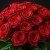 bilal.ahmad6535