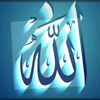fatn_0744