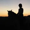 mlld__equestrian