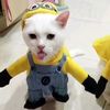 togepi.k