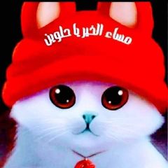 bassam.zedani