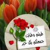 qweyo15