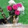 rym.bmoussa
