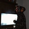 haunted0000