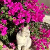 momomom138