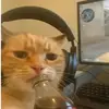 sayheytodarasimi