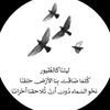 ✈️مسافر ✈️بلا عنوان ✈️