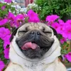 propavshiysamax_82917