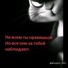 anonim3814