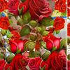 ayansh.waseem123