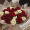 donia3848
