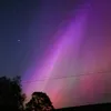 kamo_852