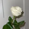 meflowergirl