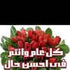 ali.zanaty0